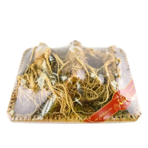 Nhân sâm củ tươi hàn quốc loại 1kg/3củ